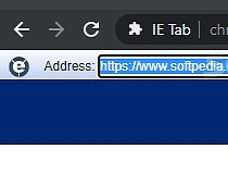 IE Tab Screenshot