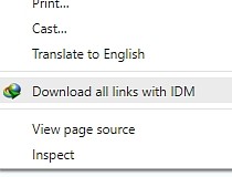 IDM Integration for Chrome Screenshot