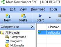 Mass Downloader Screenshot