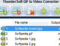 ThunderSoft GIF to Video Converter Screenshot